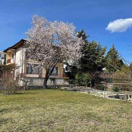 בלצ'יק Villa Elina מראה חיצוני תמונה