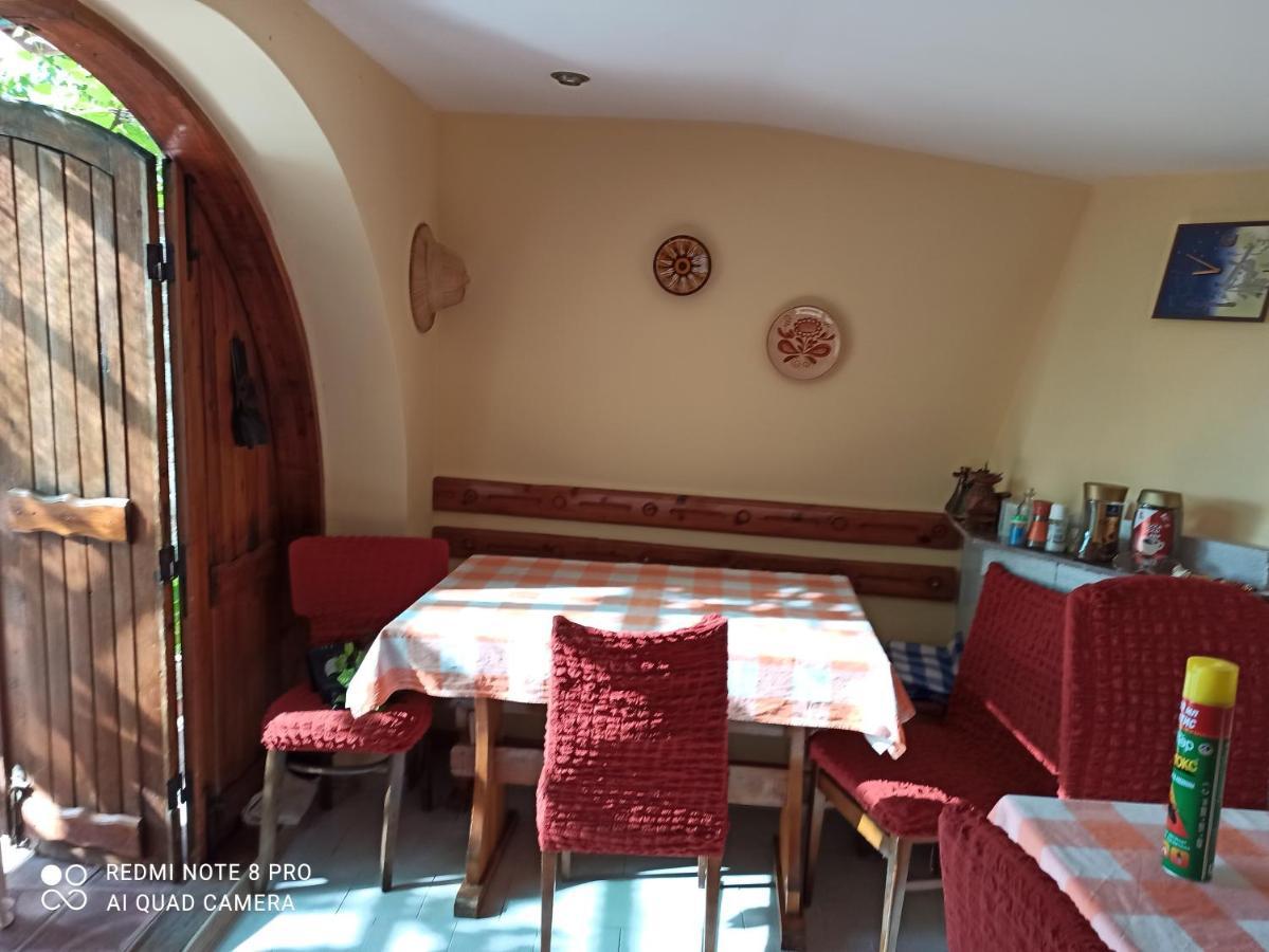 בלצ'יק Villa Elina מראה חיצוני תמונה