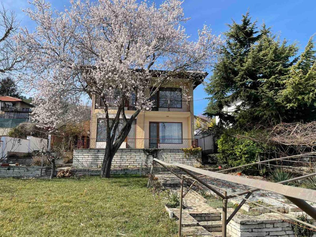 בלצ'יק Villa Elina מראה חיצוני תמונה