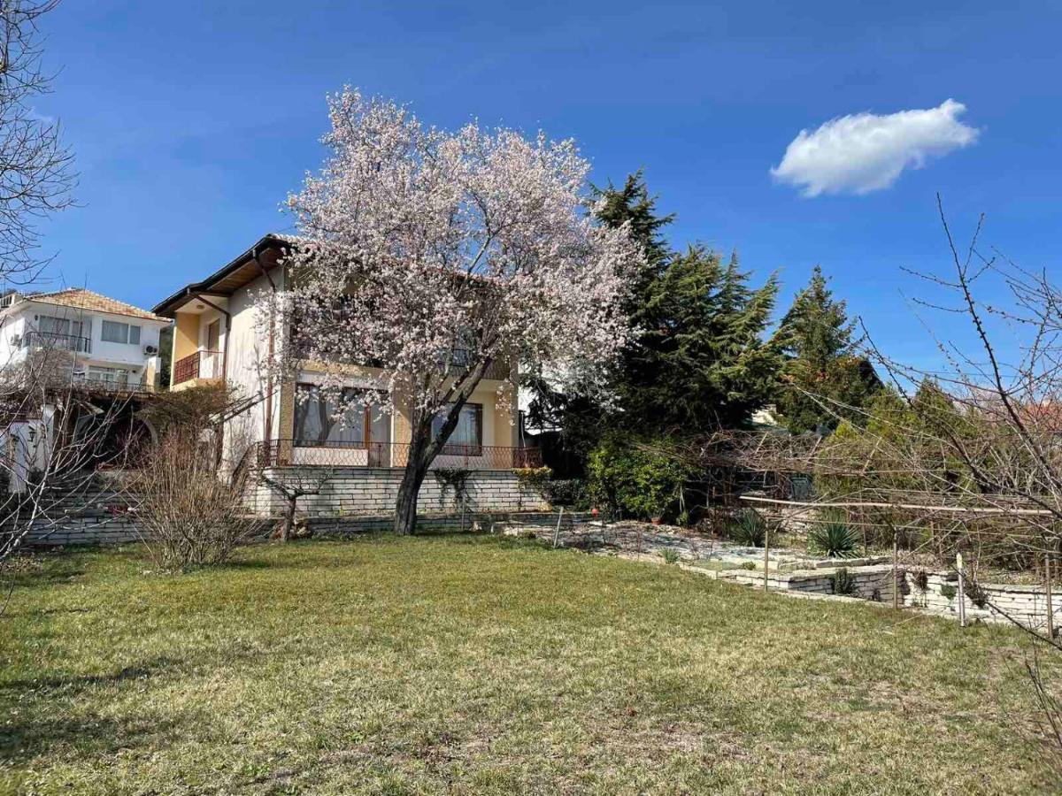 בלצ'יק Villa Elina מראה חיצוני תמונה
