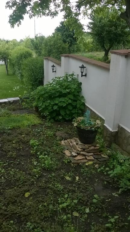 בלצ'יק Villa Elina מראה חיצוני תמונה
