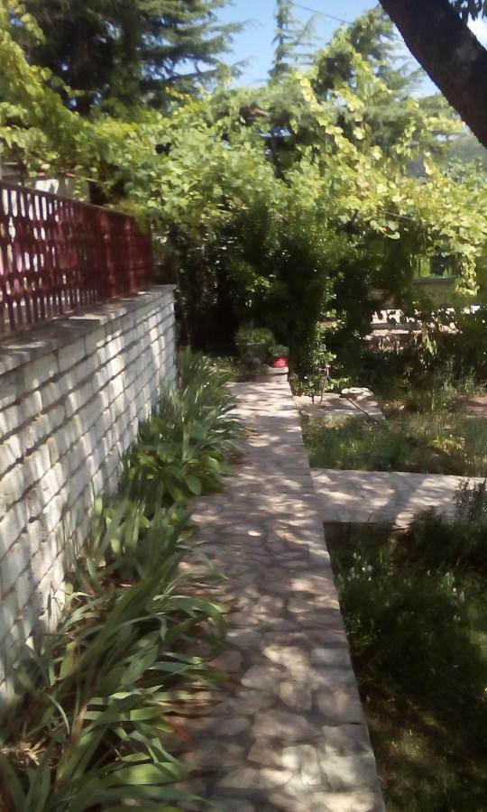 בלצ'יק Villa Elina מראה חיצוני תמונה