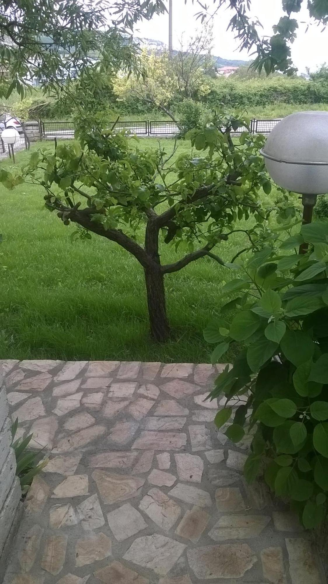 בלצ'יק Villa Elina מראה חיצוני תמונה